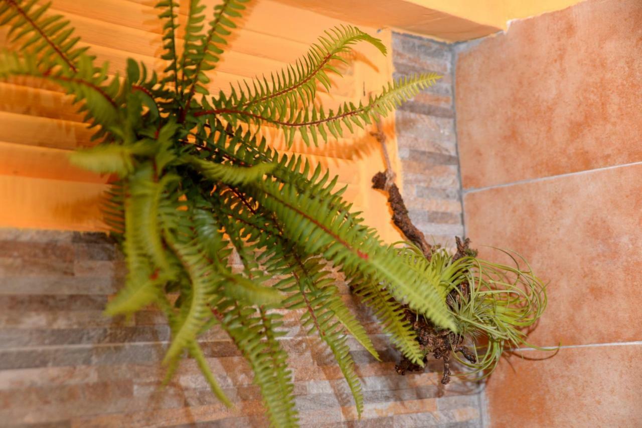 Bed & Breakfast Tulliola Roma
